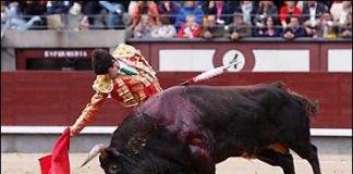 Foto: Juan Pelegrín